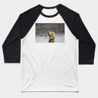 Pigpen reflections Baseball T-Shirt